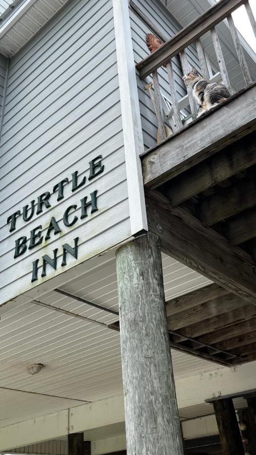 Turtle Beach Inn Indian Pass Kültér fotó